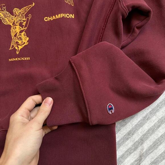 Danielle Guizio Champion Reverse Weave Crewneck Sweatshirt - Picture 4 of 7